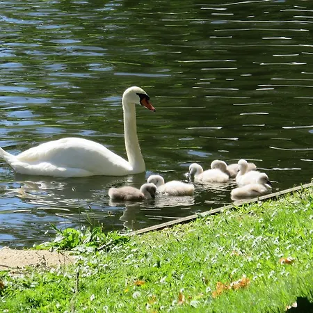De Goede 13 Bed & Breakfast