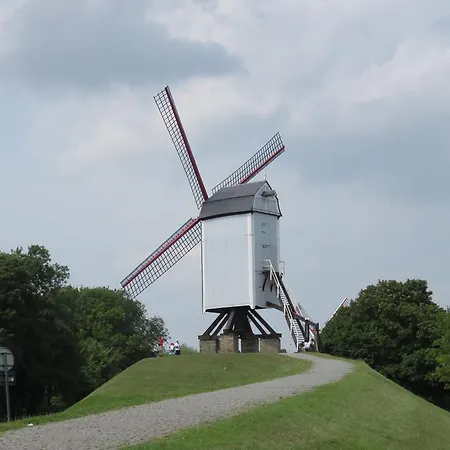 De Goede 13 4* Μπριζ